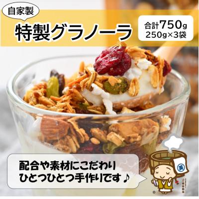 ふるさと納税 あわら市 自家製 フルーツグラノーラ 250g×3袋(計750g)[配合や素材にこだわり1つ1つ手作り!]