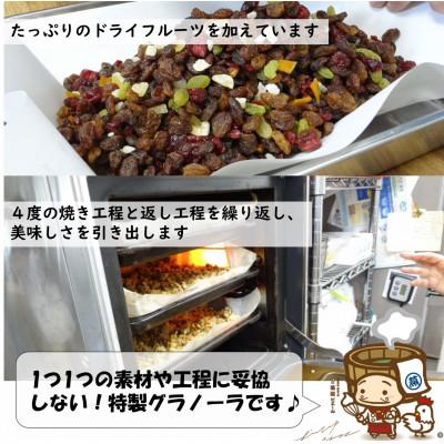ふるさと納税 あわら市 自家製 フルーツグラノーラ 250g×3袋(計750g)《配合や素材にこだわり1つ1つ手作り!》