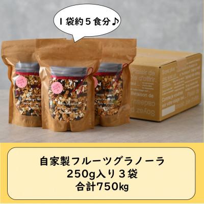 ふるさと納税 あわら市 自家製 フルーツグラノーラ 250g×3袋(計750g)《配合や素材にこだわり1つ1つ手作り!》