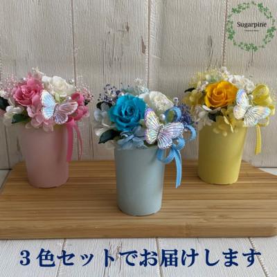 ふるさと納税 春日部市 プリザーブドフラワーアレンジ[フロットン 3色セット]春日部市 シュガーパイン