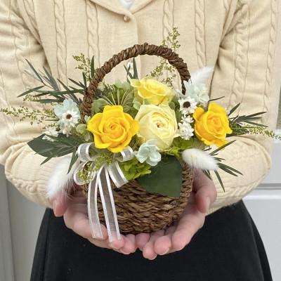 ふるさと納税 春日部市 プリザーブドフラワーアレンジ[コロレ/イエロー]春日部市 シュガーパイン