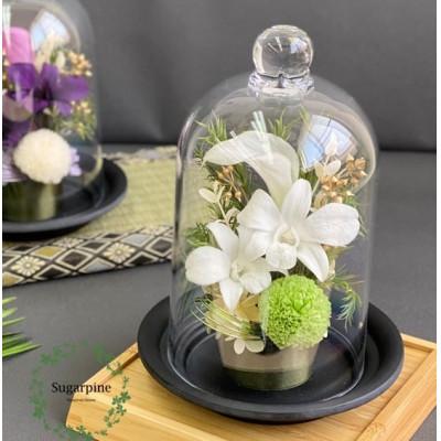 ふるさと納税 春日部市 プリザーブドフラワーアレンジ[凛(りん)/白]春日部市 シュガーパイン