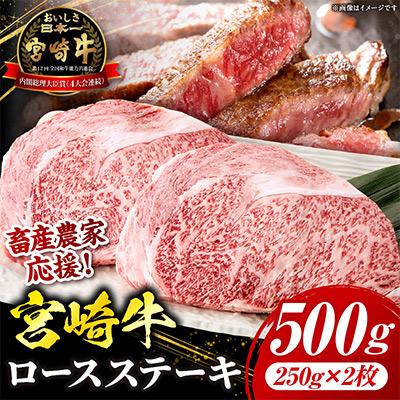 ふるさと納税 国富町 [生産者応援/数量限定] 宮崎牛ロースステーキ 500g(2枚)(国富町)