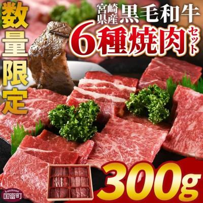 ふるさと納税 国富町 宮崎県産黒毛和牛(経産)6種焼肉セット 300g(国富町)