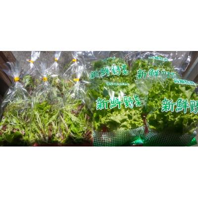 ふるさと納税 大豊町 【栽培期間中農薬不使用】生鮮リーフレタス約100g×4袋 と ベビーリーフ約40g×6袋のセット　 | 