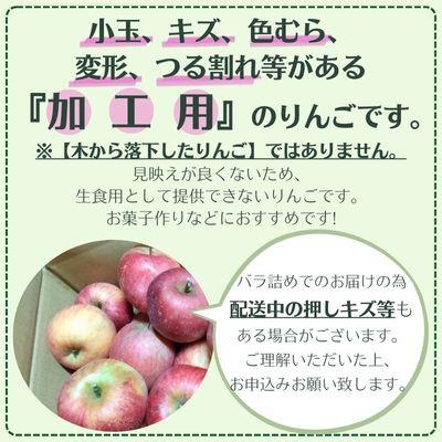 ふるさと納税 中野市 信州りんご 加工用 10kg サンふじ |  | 01