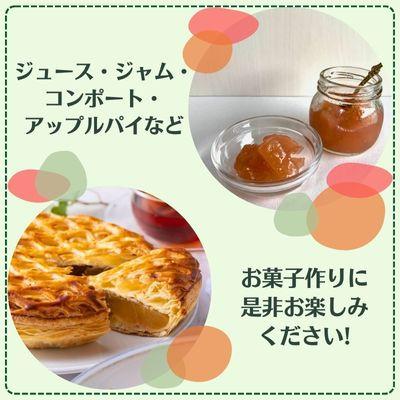 ふるさと納税 中野市 信州りんご 加工用 10kg サンふじ |  | 02