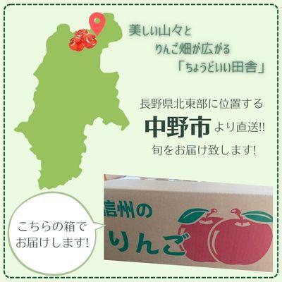 ふるさと納税 中野市 信州りんご 加工用 10kg サンふじ |  | 03