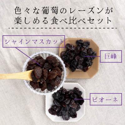 ふるさと納税 山梨市 シャインマスカット 巨峰 ピオーネ のレーズン 30g×5袋 食べ比べセット 無添加、砂糖不使用 |  | 02