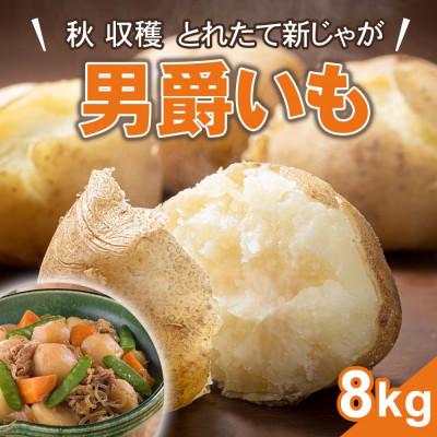 ふるさと納税 旭川市 [先行受付]2026年10月より発送 新じゃが 男爵いも 8kg 北海道産のじゃがいも_03814