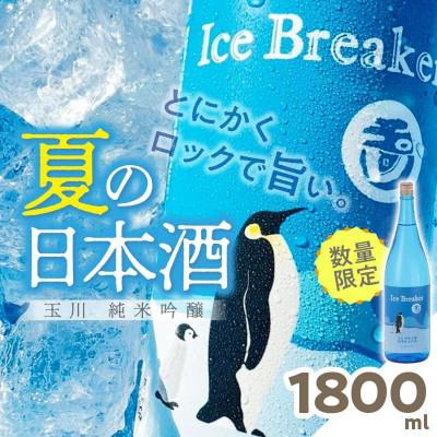 ふるさと納税 京丹後市 木下酒造『玉川 Ice Breaker』純米吟醸 無濾過生原酒 1800ml 爽快な旨さの地酒日本酒