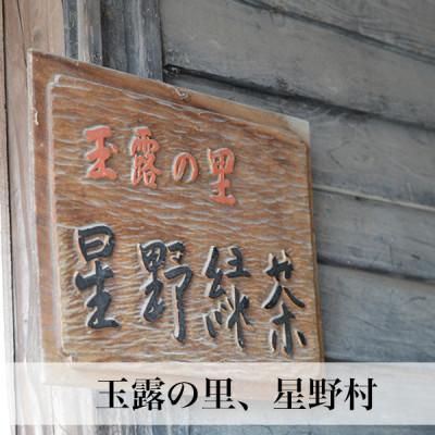 ふるさと納税 大川市 2026年産【八女茶】星野村の抹茶 姫みどり 濃茶用