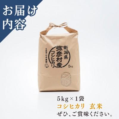 ふるさと納税 弥彦村 【令和8年産 新米受付】新潟県弥彦村石井農園　コシヒカリ【玄米 5kg】 |  | 01