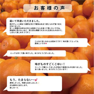 ふるさと納税 八幡浜市 【甘みが濃縮されたみかん】愛媛で育った夕やけみかん【極】3kg【C49-25】 |  | 02