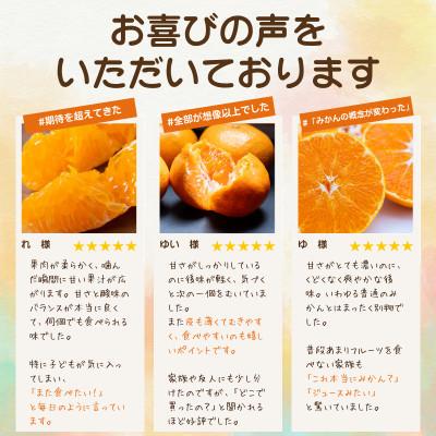 ふるさと納税 八幡浜市 【迷ったらこれ!】甘みが濃縮 夕やけみかん【極