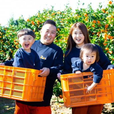 C107 バラのミカン畑 横山いしみ マグカップ新刊セット 矢島農園]みかん・柑橘類を農家から直送、全国にお届け[真鶴町] | どこ