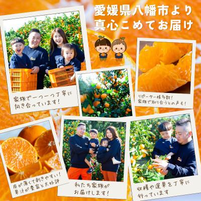 ふるさと納税 八幡浜市 【迷ったらこれ!】甘みが濃縮 夕やけみかん【極