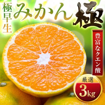ふるさと納税 八幡浜市 [今年最初のみかん]極早生みかん[極]3kg 愛媛県産[C49-31]