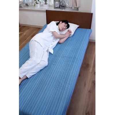 ふるさと納税 蒲郡市 【オールシーズンOK!】三河木綿ふわふわ綿わた敷きパッド　シングルサイズ　1枚 _【G0233】_1