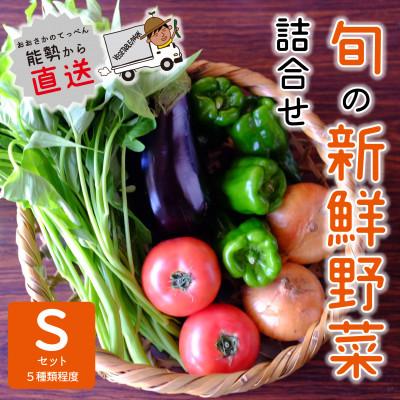 ふるさと納税 能勢町 『大阪能勢産』 農家直送!べじたぶるぱーくの旬の新鮮野菜詰合せ Sセット(5種類)