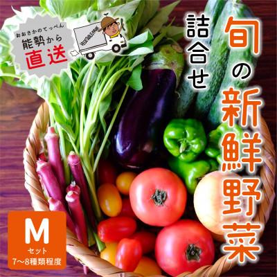 ふるさと納税 能勢町 『大阪能勢産』 農家直送!べじたぶるぱーくの旬の新鮮野菜詰合せ Mセット(7〜8種類)