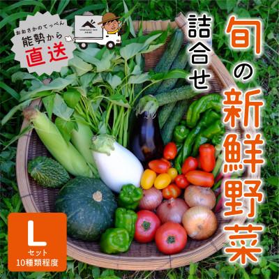ふるさと納税 能勢町 『大阪能勢産』 農家直送!べじたぶるぱーくの旬の新鮮野菜詰合せ Lセット(10種類)