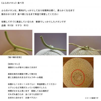 ふるさと納税 富良野市 【2027年発送】ふらのメロン赤肉　1箱2玉入り3.2kg以上 |  | 01
