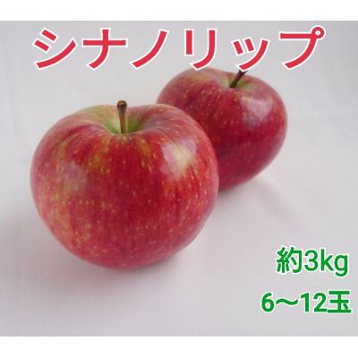 ふるさと納税 豊丘村 アグリスタくましろのシナノリップ ご家庭用約3kg(6〜12玉) 8月上旬より順次発送