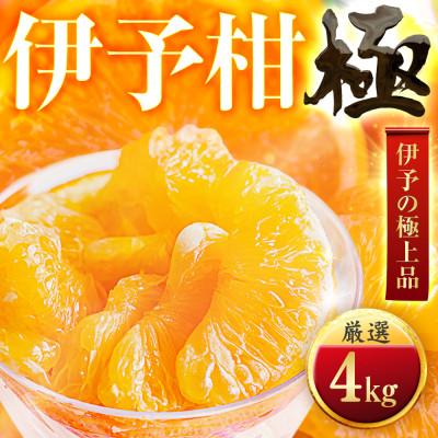 ふるさと納税 八幡浜市 [昔ながらの美味しさ]伊予柑[極]4kg 愛媛県産[C49-42]