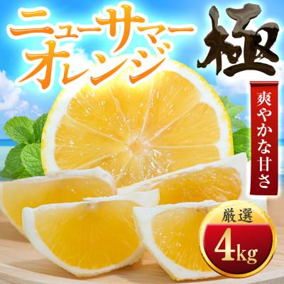ふるさと納税 八幡浜市 [朝に食べたい]ニューサマーオレンジ[極]4kg 愛媛県産[C49-57]