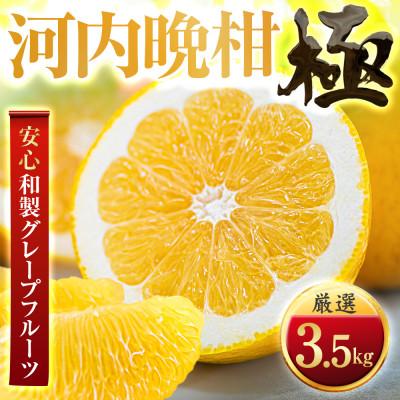 ふるさと納税 八幡浜市 [和製グレープフルーツ]河内晩柑[極]3.5kg 愛媛県産[C49-60]