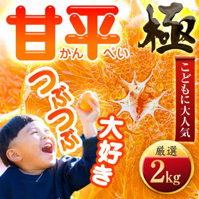 ふるさと納税 八幡浜市 [売切れ前に!]シャキシャキ甘い♪♪[甘平]2kg 愛媛県産[D49-63]