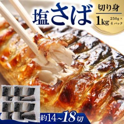 ふるさと納税 小浜市 サバ切身 1kg(250g×4パック)約14〜18切れ