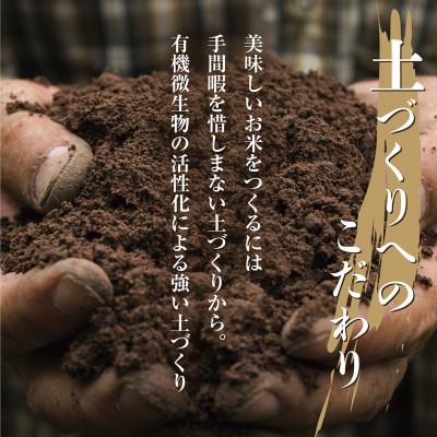 ふるさと納税 南魚沼市 【令和8年産 新米】 無洗米 南魚沼産