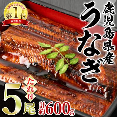 ふるさと納税 東串良町 並サイズの満足感!東串良町のうなぎ蒲焼(無頭)(5尾・約600g・タレ、山椒付)[0244311a]