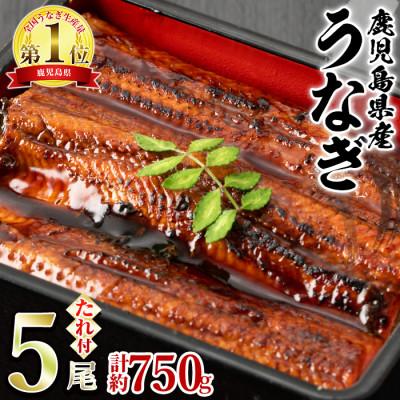 ふるさと納税 東串良町 東串良町のうなぎ蒲焼(無頭)(5尾・計約750g・タレ山椒付)[アクアおおすみ][0294315a]
