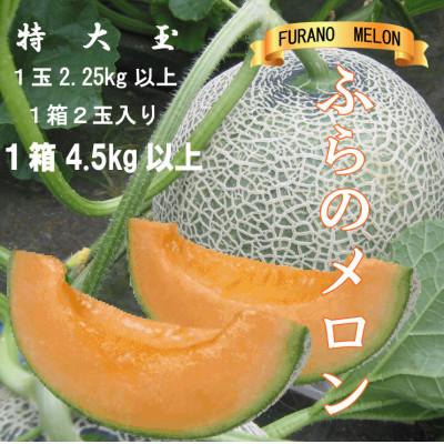 ふるさと納税 富良野市 【2027年発送】ふらのメロン　赤肉　大玉　1玉2.25kg以上　1箱2玉入り(計4.5kg以上) | 