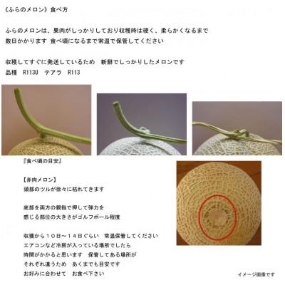 ふるさと納税 富良野市 【2027年発送】ふらのメロン　赤肉　大玉　1玉2.25kg以上　1箱2玉入り(計4.5kg以上) |  | 01