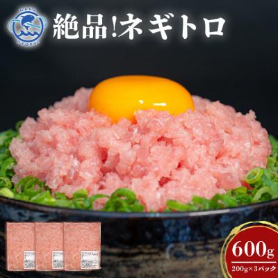 ふるさと納税 糸満市 那覇魚類のネギトロ 合計600g(200g×3パック) おためし 小分けパック