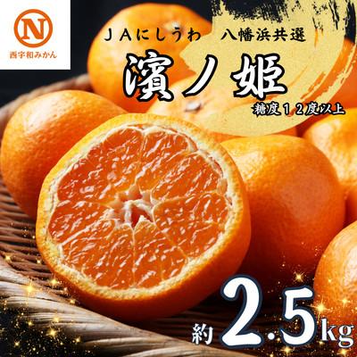 ふるさと納税 八幡浜市 JAにしうわの季節の柑橘(八幡浜共選「濱ノ姫」約2.5kg)[D08-76]