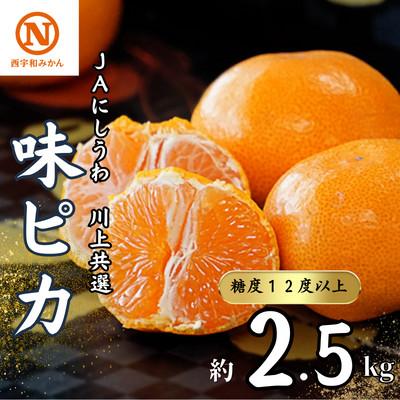 ふるさと納税 八幡浜市 JAにしうわの季節の柑橘(川上共選 味ピカ2.5kg)[C08-78]