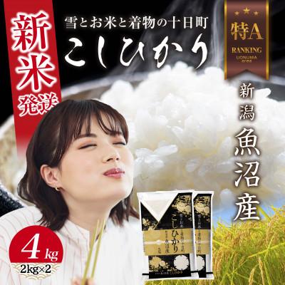 ふるさと納税 十日町市 [令和8年産 新米] 新潟県 魚沼産 コシヒカリ 4kg (お米の美味しい炊き方ガイド付き)