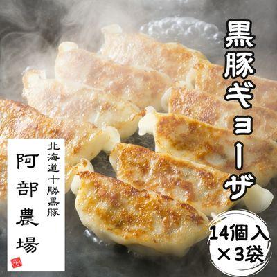 ふるさと納税 池田町 黒豚ギョーザ