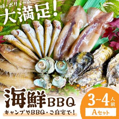 ふるさと納税 京丹後市 大満足!京丹後・海鮮BBQ　Aセット　5種20品(3〜4人前) | 