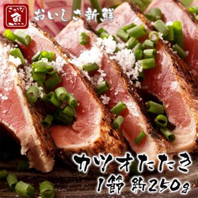 ふるさと納税 高知市 カツオたたき1節 大きいサイズ 約250g[BX063]
