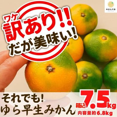 ふるさと納税 有田川町 訳あり 有田みかん[ゆら早生]箱込 7.5kg (内容量6.8kg) サイズミックス 和歌山