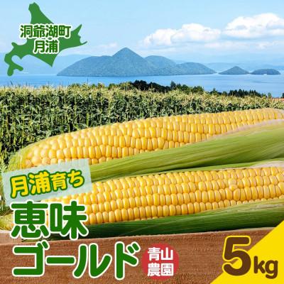 ふるさと納税 洞爺湖町 [2026年発送 先行予約]北海道 月浦で育っためぐみゴールド 5kg とうもろこし 青山農園