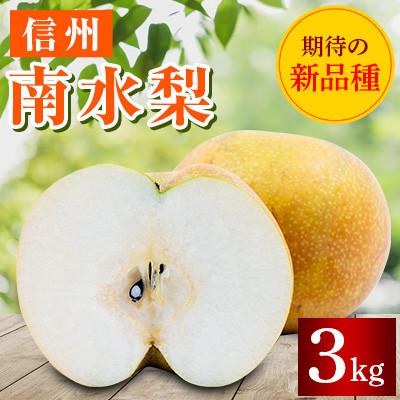 ふるさと納税 長野市 [2026年先行受付]長野市産 南水梨 約3kg入り