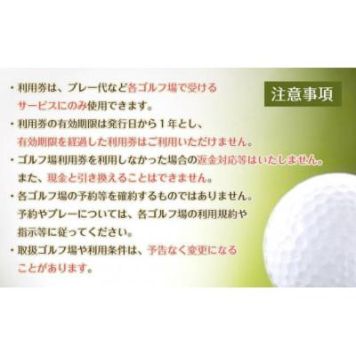 ふるさと納税 豊田市 豊田市ゴルフ場利用券5枚(市内16のゴルフ場で利用可) |  | 02