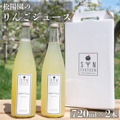 ふるさと納税 遠野市 松陽園 りんごジュース 720ml×2本セット 遠野産りんご100%使用